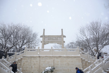 南京紫金山雪景