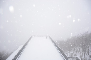 南京紫金山雪景