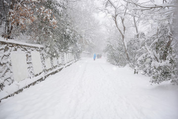 南京紫金山雪景