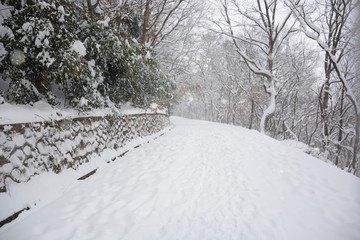 南京紫金山雪景