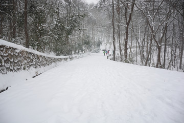 南京紫金山雪景