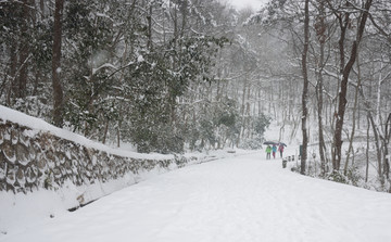 南京紫金山雪景