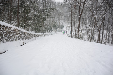 南京紫金山雪景