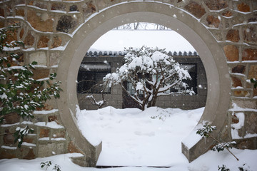 南京紫金山雪景