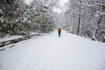 南京紫金山雪景