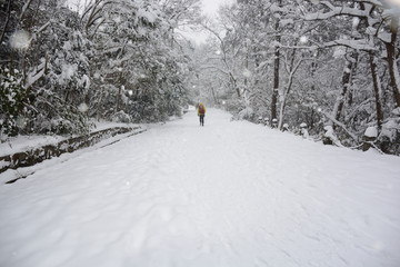 南京紫金山雪景