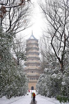 南京灵谷寺雪景