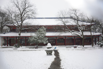 南京灵谷寺雪景