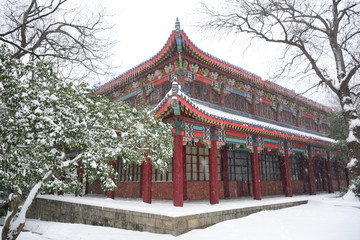 南京灵谷寺雪景