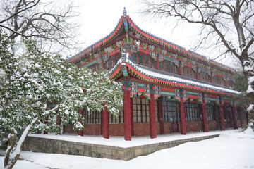 南京灵谷寺雪景