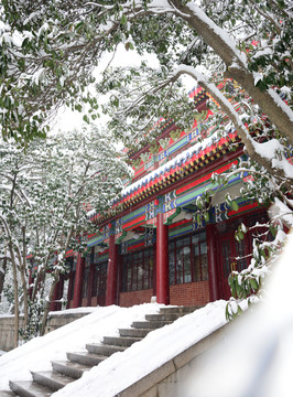 南京灵谷寺雪景