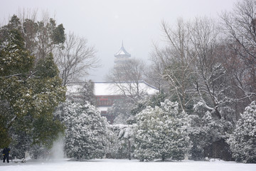 南京灵谷寺雪景