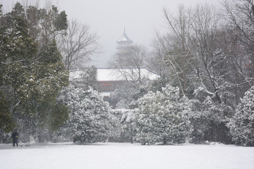 南京灵谷寺雪景