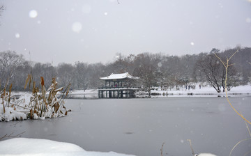 南京紫金山雪景