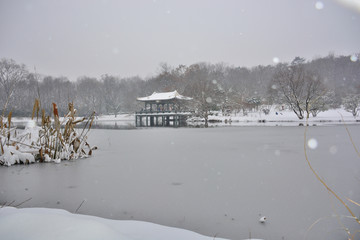 南京紫金山雪景