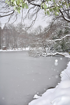 南京紫金山雪景