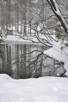 紫金山雪景