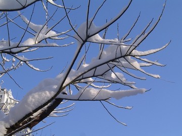 雪景