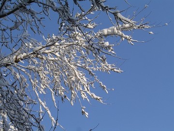 雪景