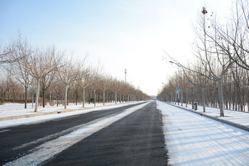 雪后的公路