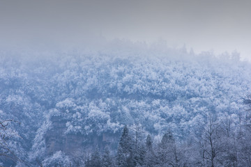 雪景