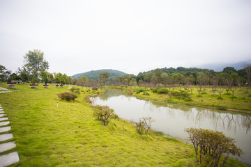 炎帝陵景区 盆景园