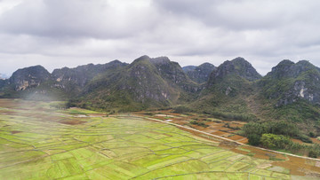 田园田野