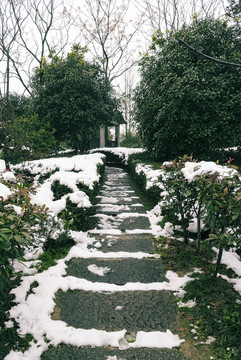 雪中的小路