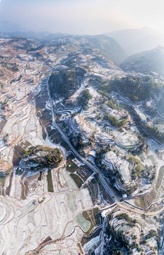 温州茗岙梯田雪景全景图