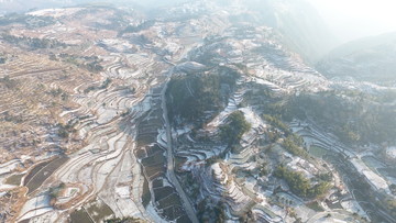 雪景后茗岙梯田