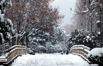 公园雪景