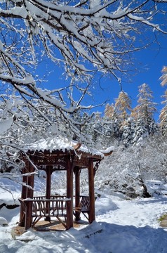 雪中小亭