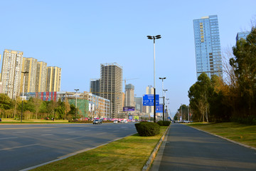 城市道路 道路绿化