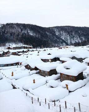 雪乡全景 中国雪乡 雪乡