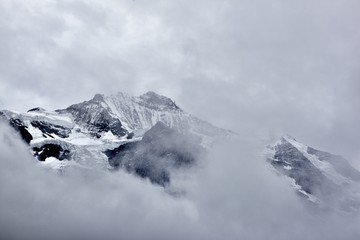 云雾山中