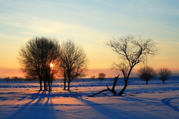 雪原树林朝阳