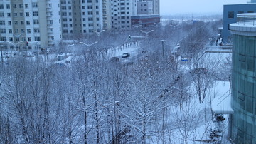 大雪的街道