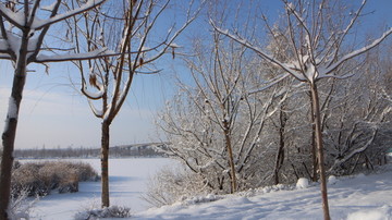 河边雪景