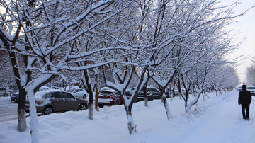 林中雪道