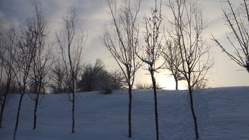 雪地 朝阳