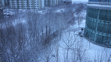 雪后的城市