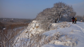 雪坡 树林