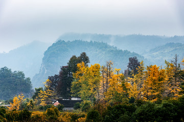 灵川小平乐