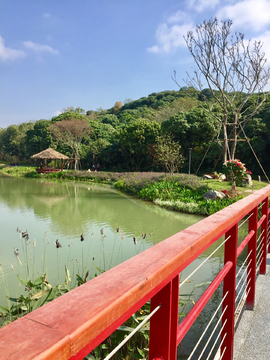 漳州园林公园小桥流水人家