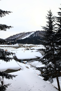 雪乡全景 中国雪乡 雪乡