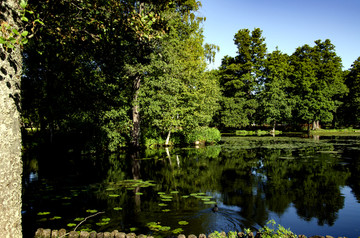 皇后岛花园池塘