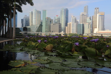 新加坡滨海城市风光