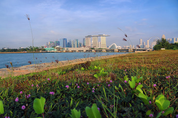 新加坡滨海城市风光