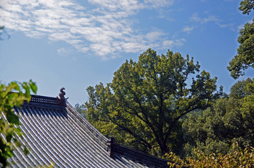 天台国清寺国清讲寺