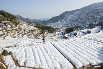 梯田风光